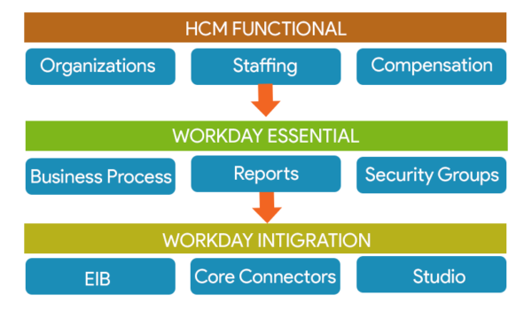 workday-hcm-rout-map-techsmartits